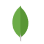 MongoDB