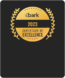 Top Software Development Company Global